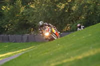 brands-hatch-photographs;brands-no-limits-trackday;cadwell-trackday-photographs;enduro-digital-images;event-digital-images;eventdigitalimages;no-limits-trackdays;peter-wileman-photography;racing-digital-images;trackday-digital-images;trackday-photos